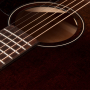 Akustická kytara ART&LUTHERIE Americana Bourbon Burst