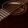 Elektrická akustická kytara Art and Lutherie Americana Bourbon Burst Presys II