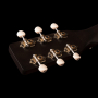 Elektrická akustická kytara Art and Lutherie Americana Faded Black Presys II