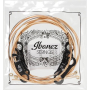Strings for Acoustic Guitars IBANEZ IACSP6C ACOUSTIC GUITAR STRING 12-53 COATED
