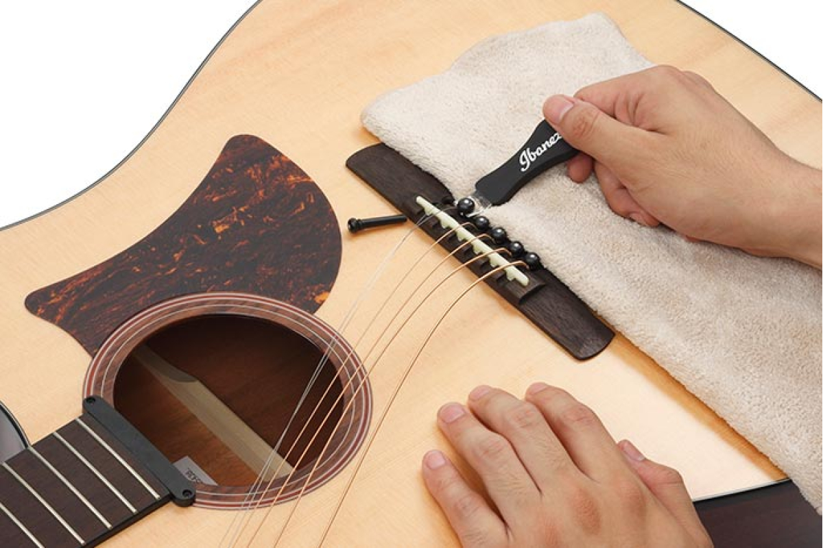 Příslušenství pro kytary IBANEZ IPP10