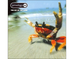 Vinyl Record Labels V2 The Prodigy Music For The Jilted Generation