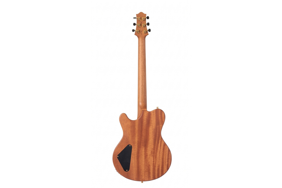 NIK HUBER REDWOOD GUITAR SUMMIT 2026 Electric guitar
