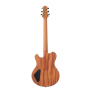 NIK HUBER REDWOOD GUITAR SUMMIT 2026 Electric guitar