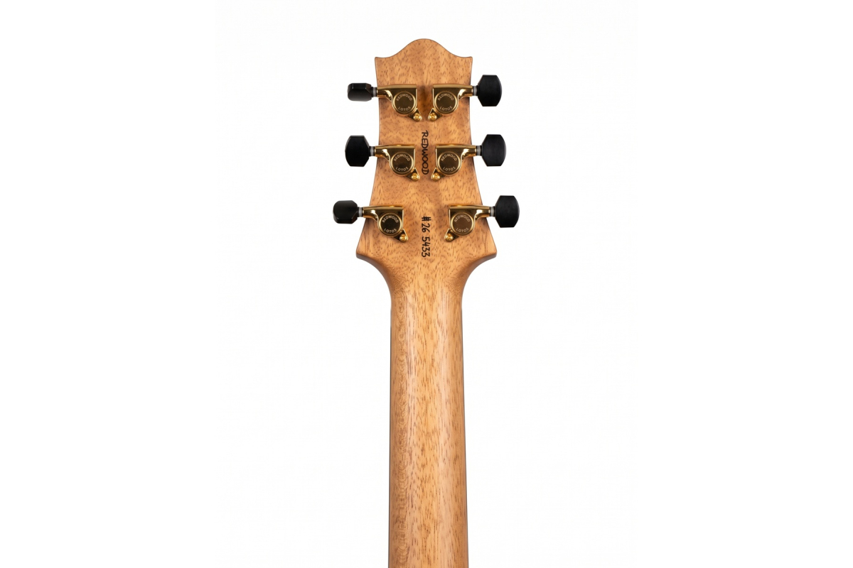 NIK HUBER REDWOOD GUITAR SUMMIT 2026 Electric guitar