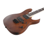 Electric Guitar IBANEZ GRG121DX-WNF