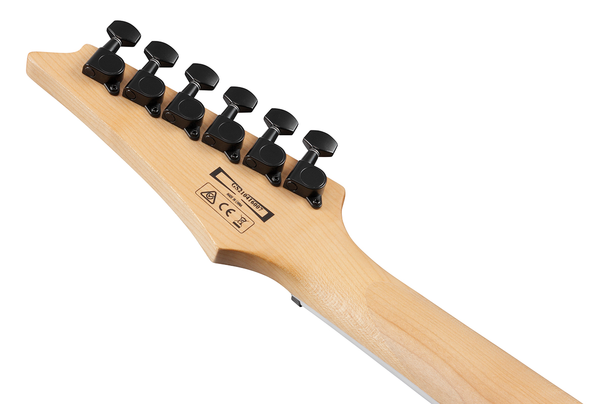 Electric Guitar IBANEZ GRG121DX-WNF