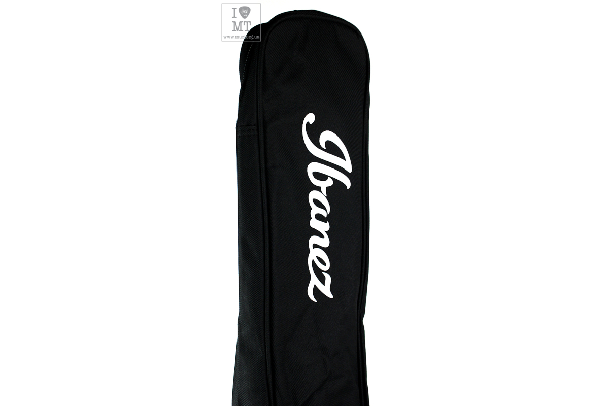 IBANEZ IAB101 Acoustic Guitar Case