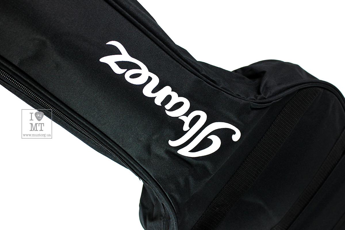 IBANEZ IAB101 Acoustic Guitar Case