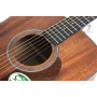 Akustická kytara IBANEZ AW54-OPN
