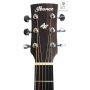 Akustická kytara IBANEZ AW54-OPN