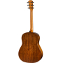 Akustická kytara TAYLOR GUITARS AD-17
