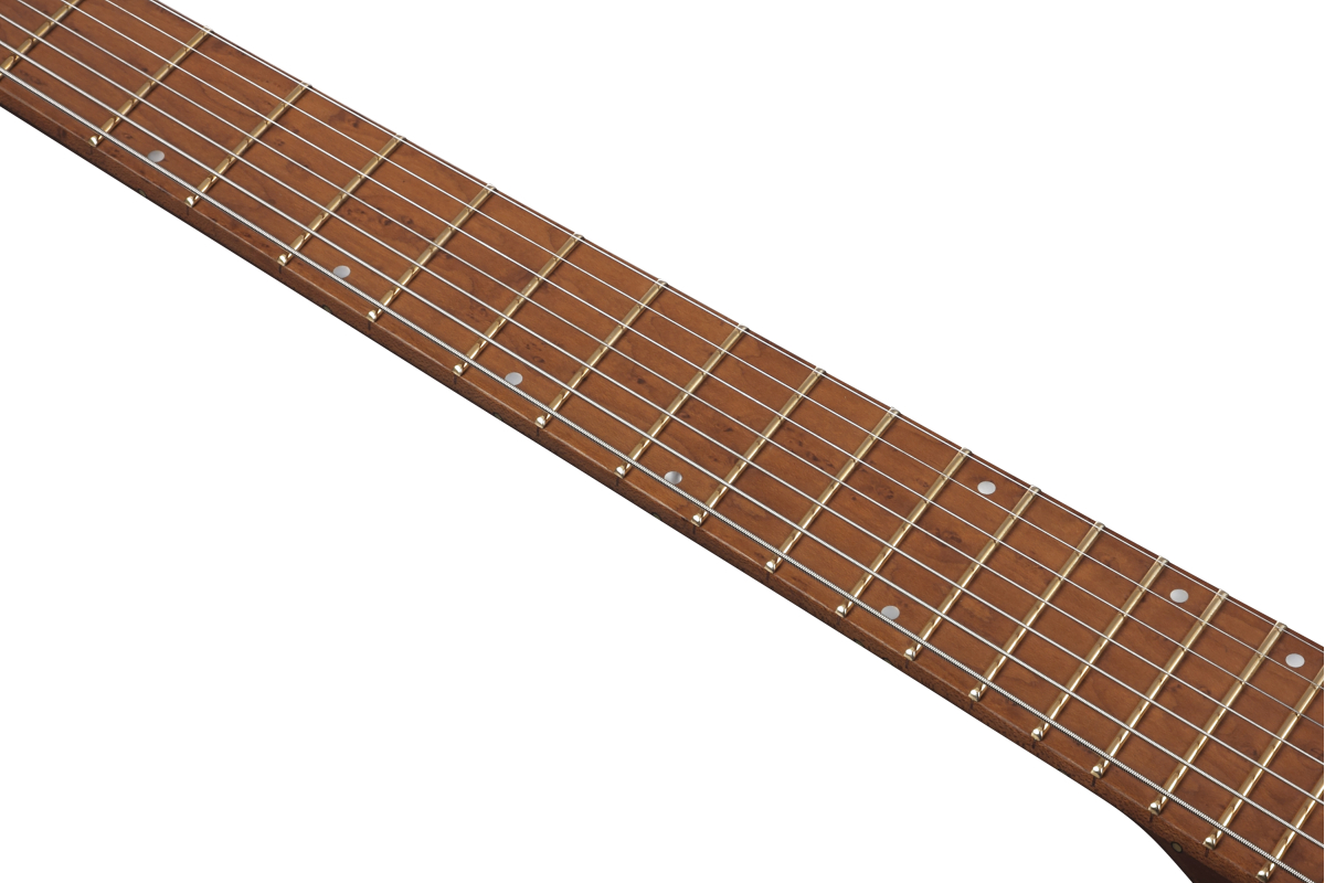 Elektrická kytara IBANEZ QX527PB-ABS