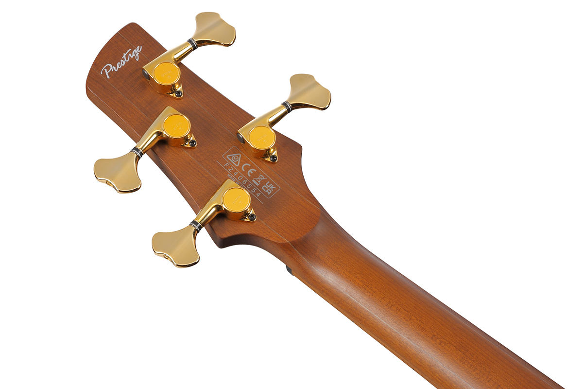 Baskytara IBANEZ SR4500-DST