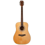 Akustická kytara ROCKDALE Maverick D6 Natural Gloss