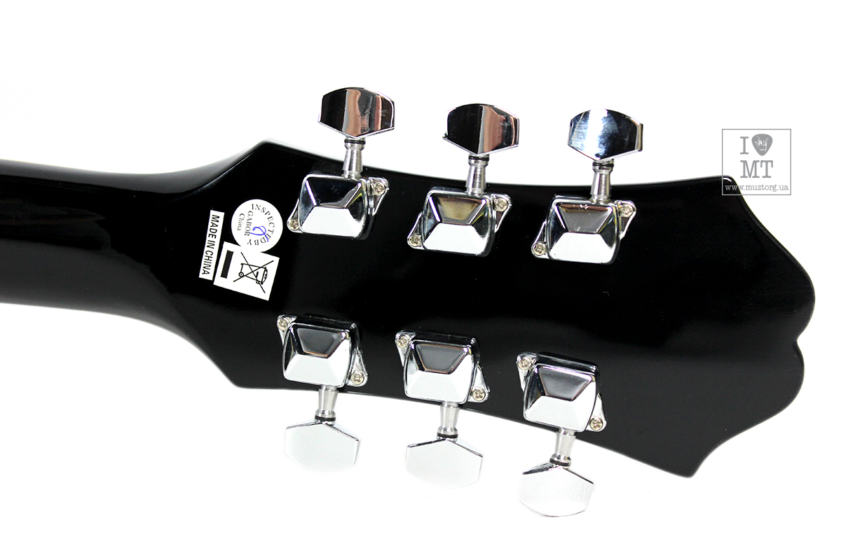Akustická kytara EPIPHONE DR-100 EB