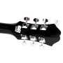 Akustická kytara EPIPHONE DR-100 EB