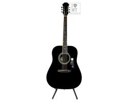 Akustická kytara EPIPHONE DR-100 EB