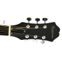 Akustická kytara EPIPHONE DR-100 EB