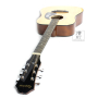 Akustická kytara EPIPHONE DR-100 NT