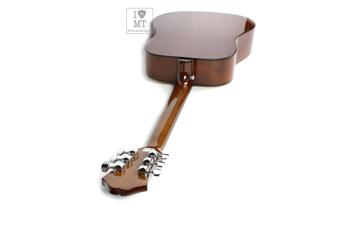 Akustická kytara EPIPHONE DR-100 NT
