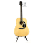 Akustická kytara EPIPHONE DR-100 NT