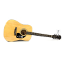 Akustická kytara EPIPHONE DR-100 NT