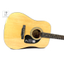 Akustická kytara EPIPHONE DR-100 NT