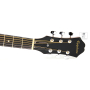Akustická kytara EPIPHONE DR-100 NT