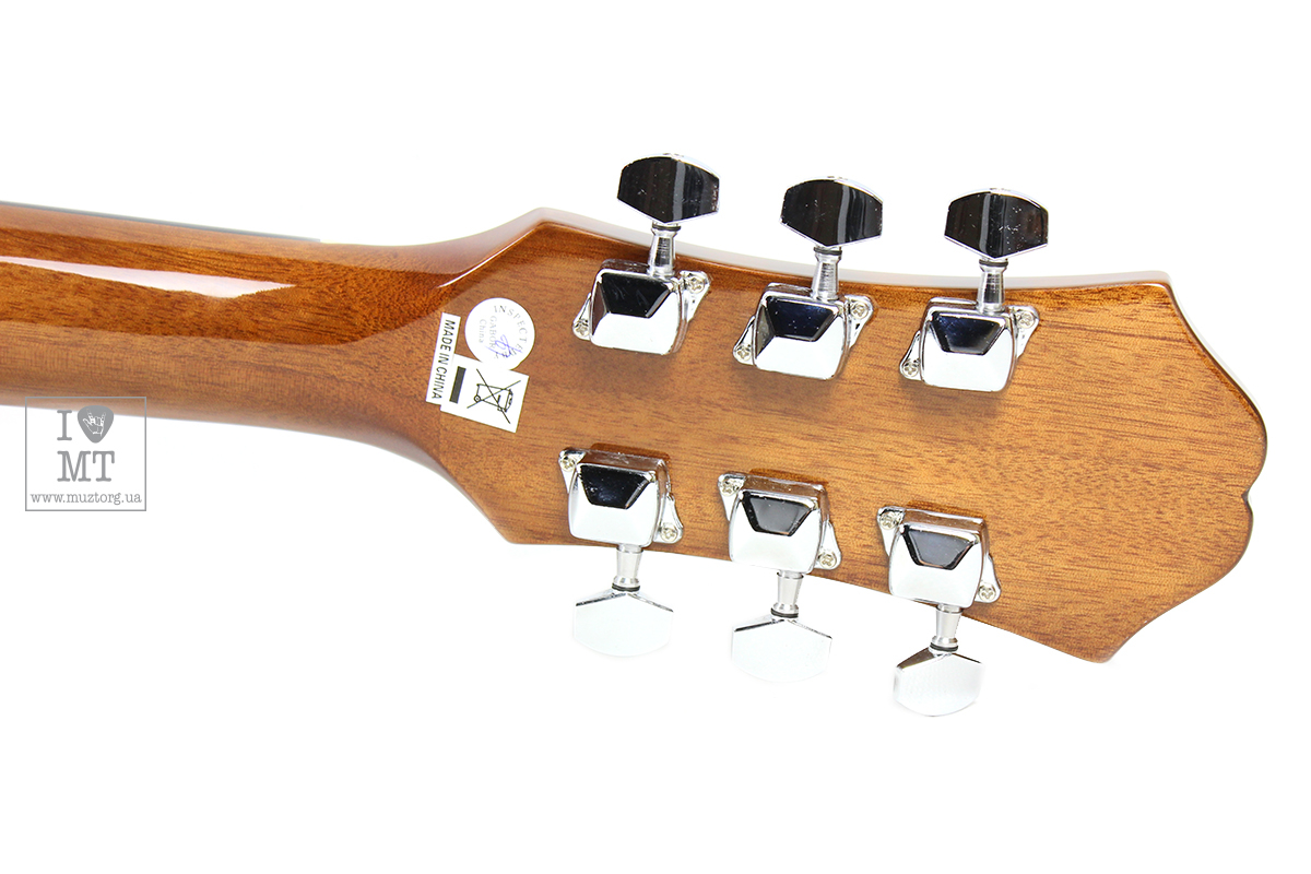 Akustická kytara EPIPHONE DR-100 NT