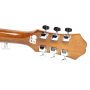 Akustická kytara EPIPHONE DR-100 NT