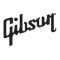 Oficiální zástupce GIBSON v České republice – MuzTorg: kompletní sortiment produktů