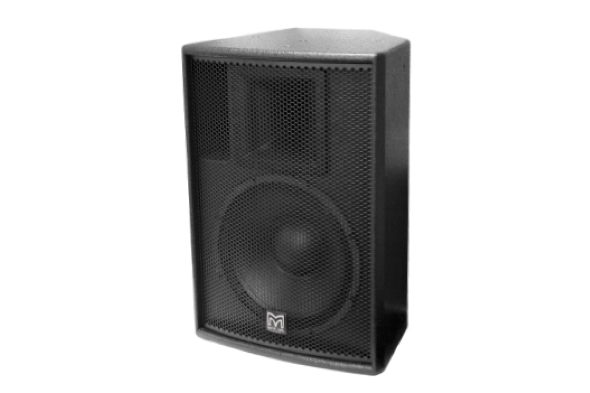 MARTIN AUDIO X12 Acoustic System